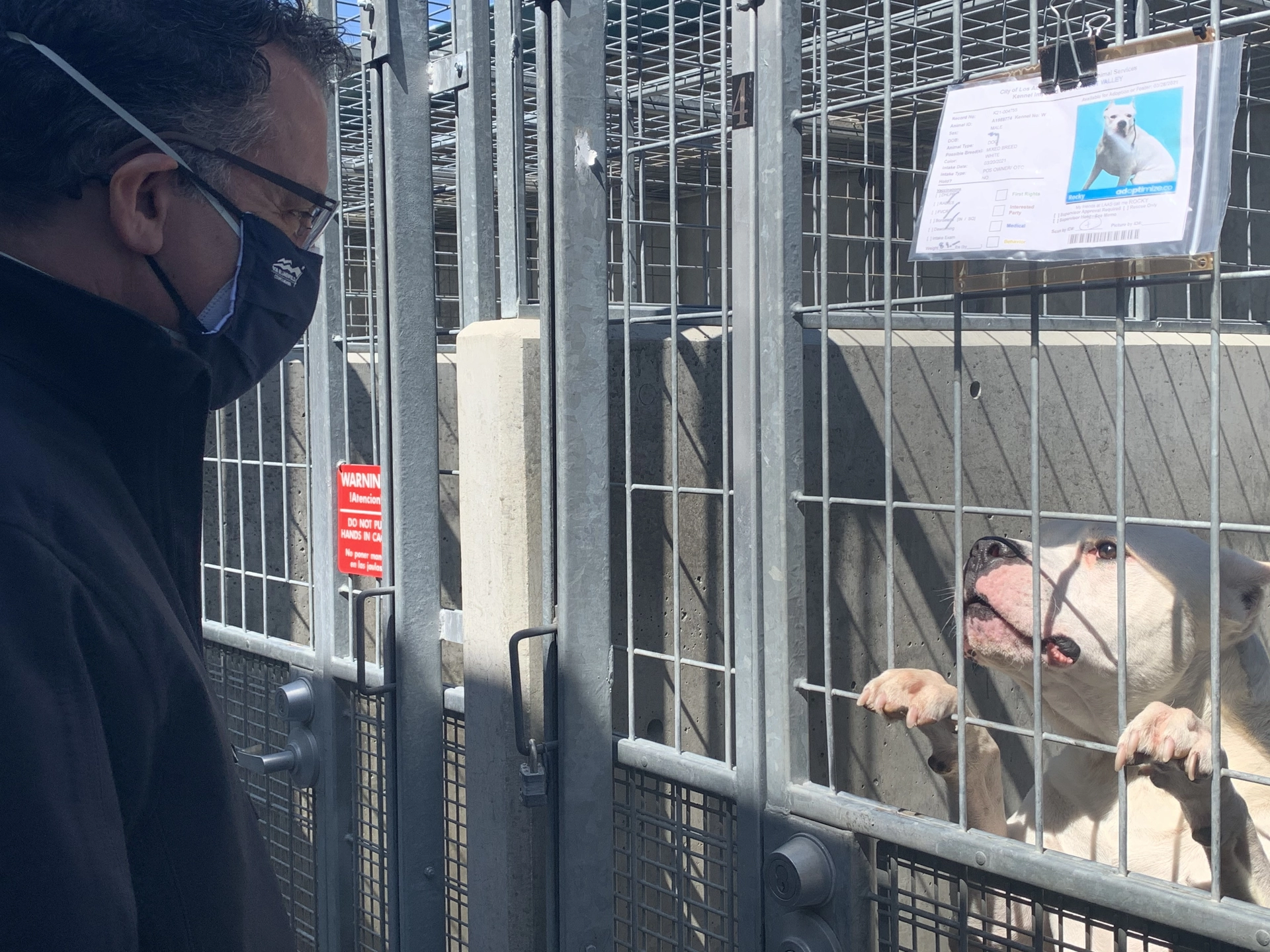 Blumenfield at Animal Shelter
